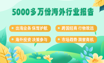 2021年越南電子商務產業白皮書